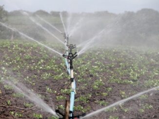 Birecik’te Su ve Sulama Sorunlarına Çözüm Önerileri